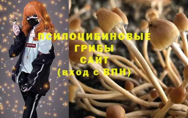 mix Белокуриха