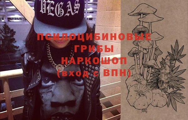 mix Белокуриха