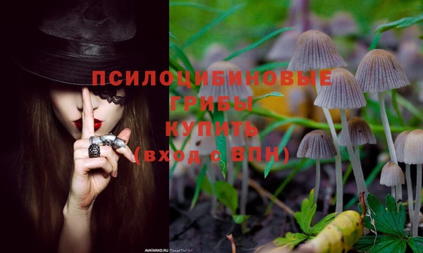 марки lsd Белоозёрский