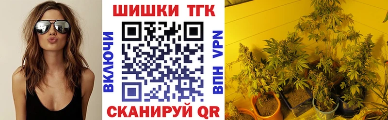 Канабис план Светлый